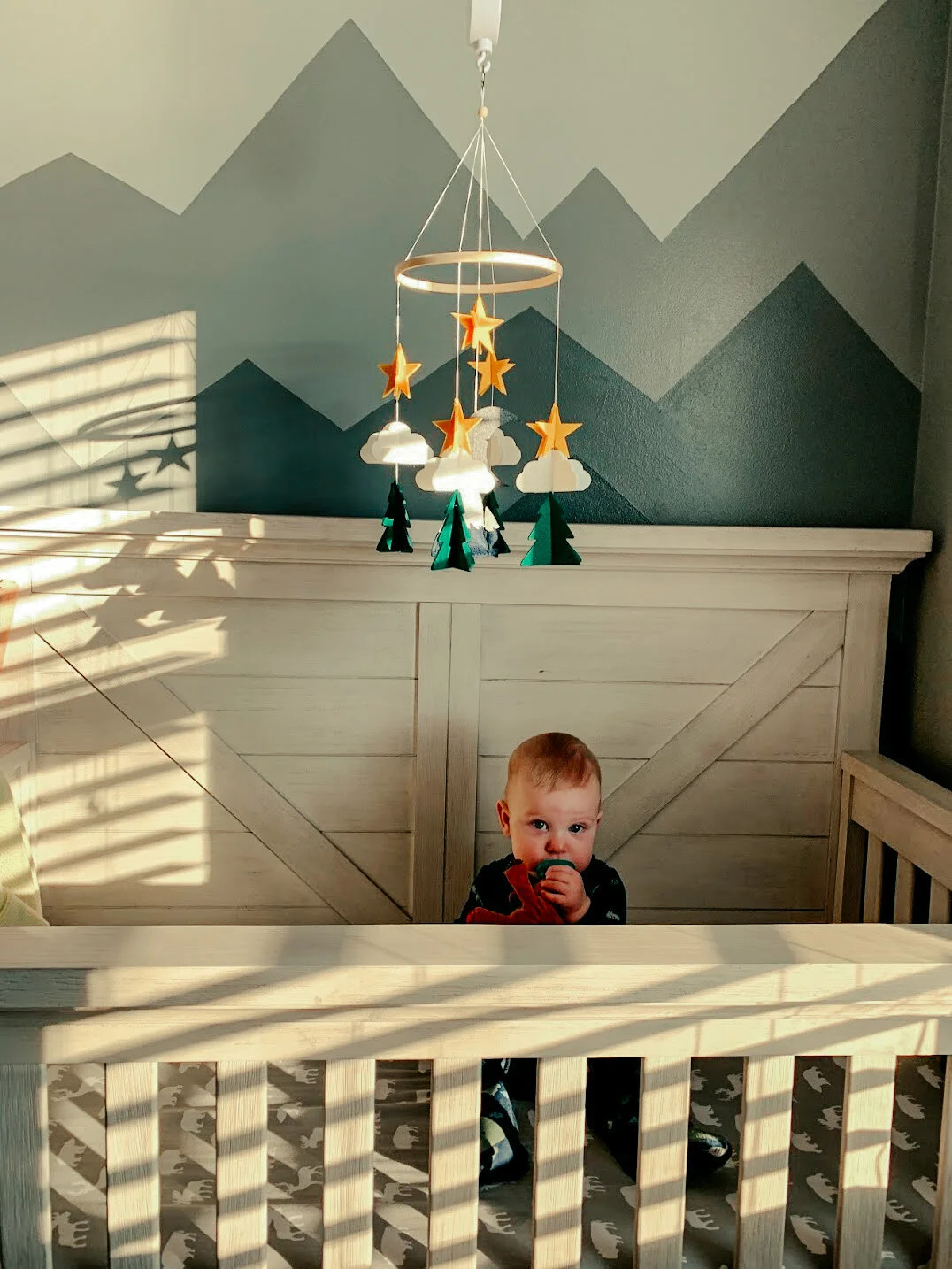 Jude's Mountain Nursery