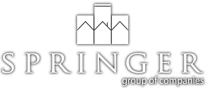 Springer-Logo-White-Dropshadow-4.png