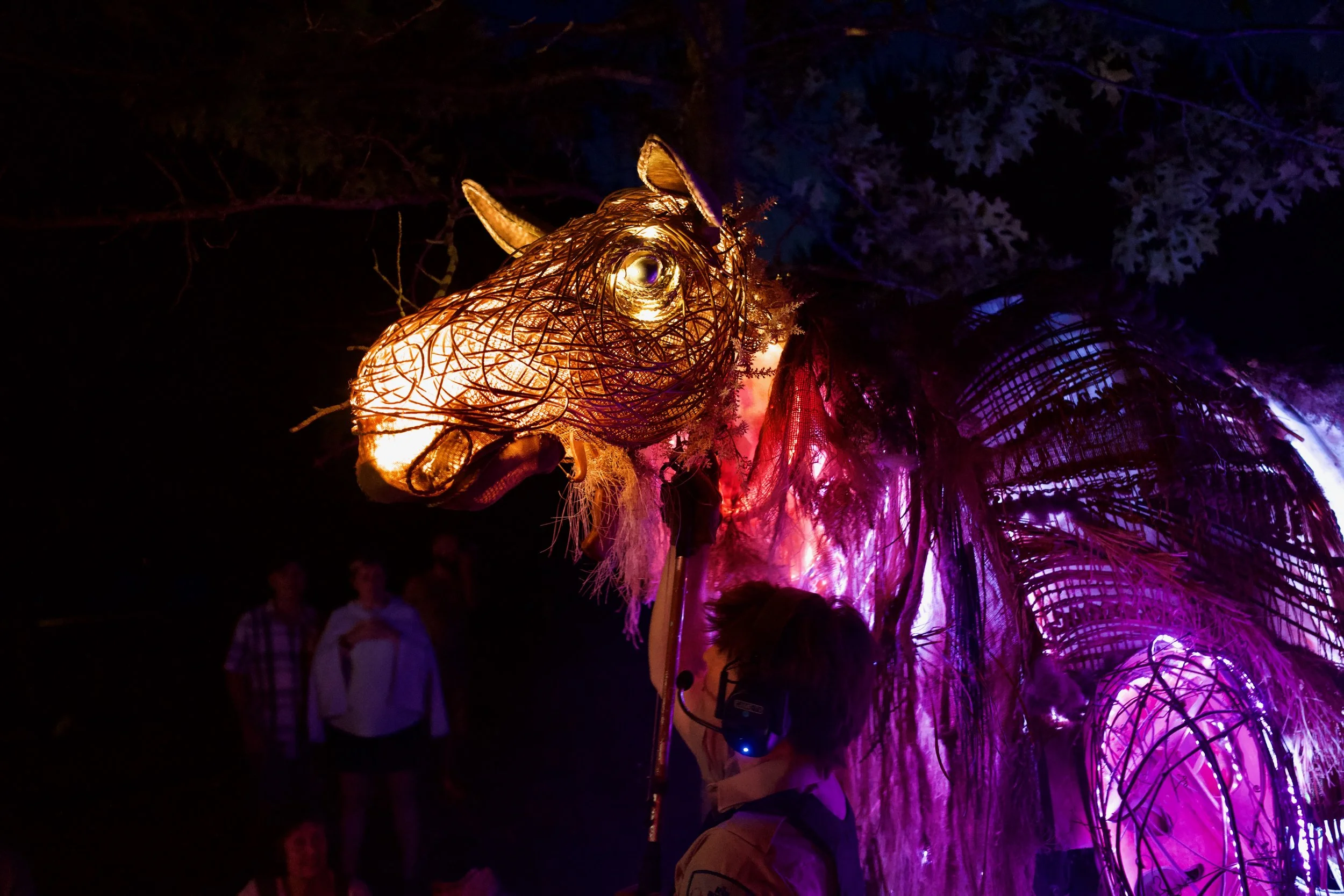 Le Roi Boreal at MacDonald Park