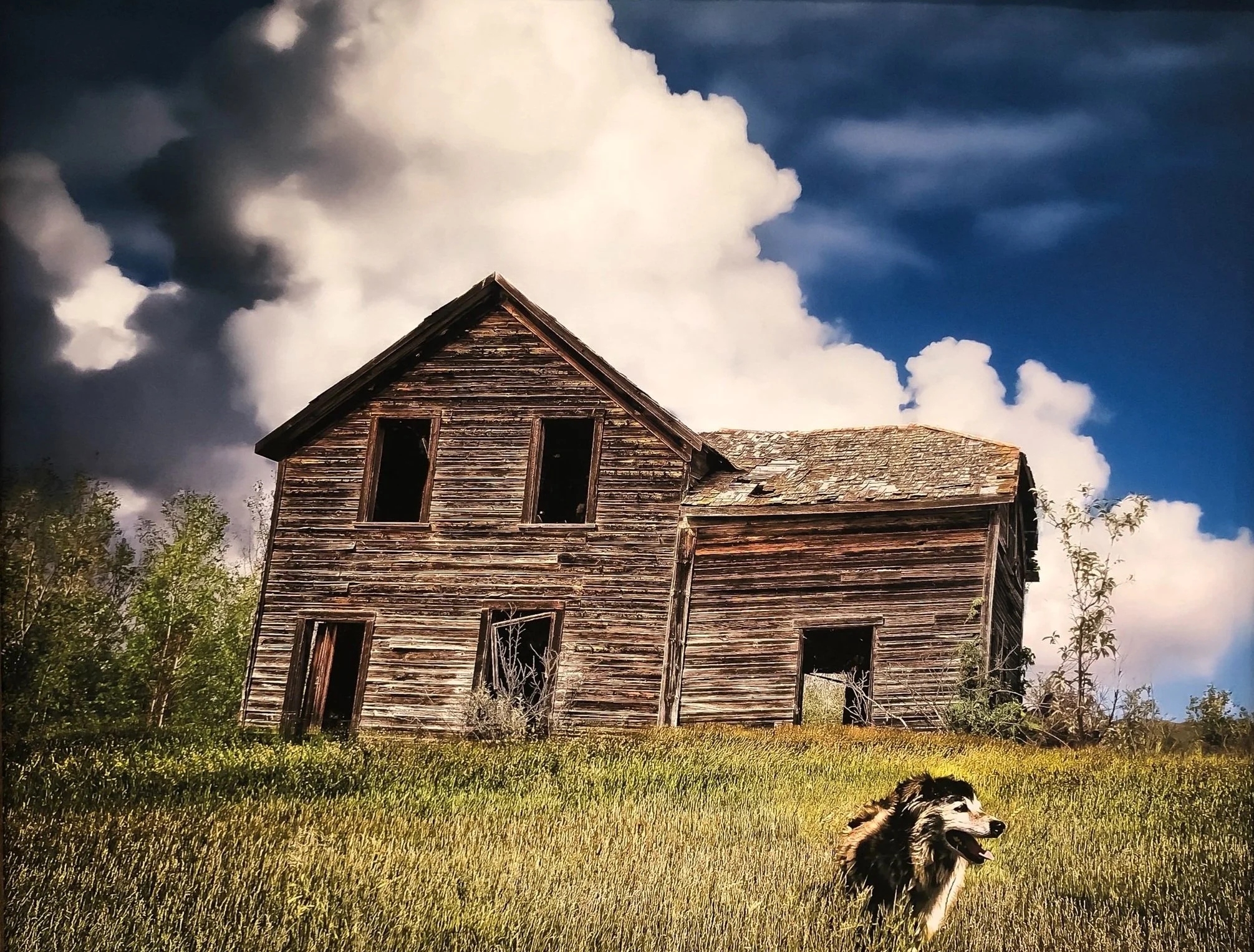 Most Haunted (Copy)