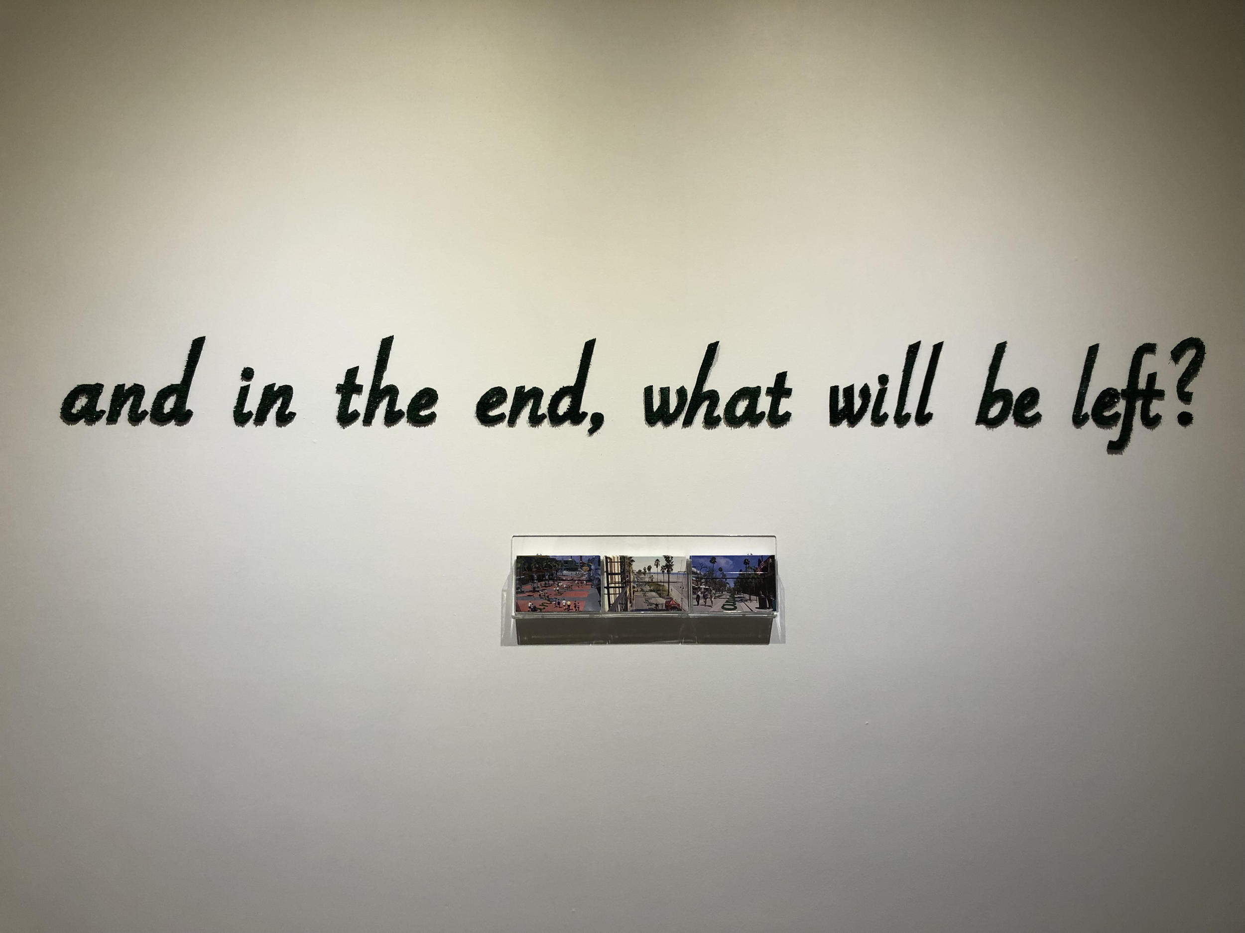 IMG_8983 2.png (Copy)