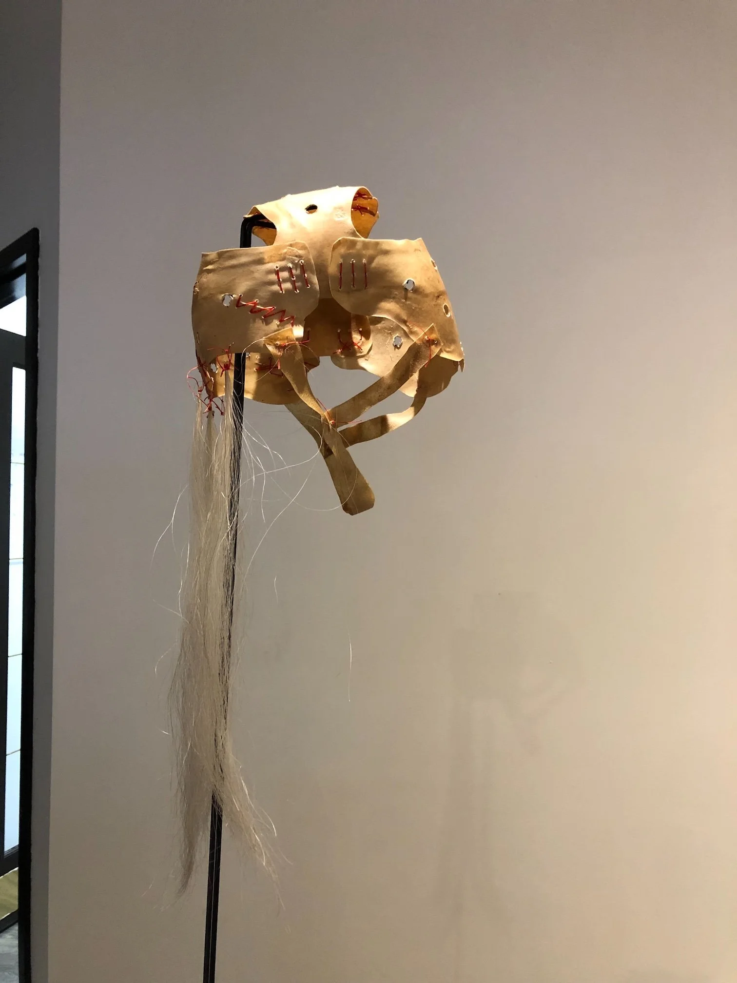 IMG_2991 2.jpeg