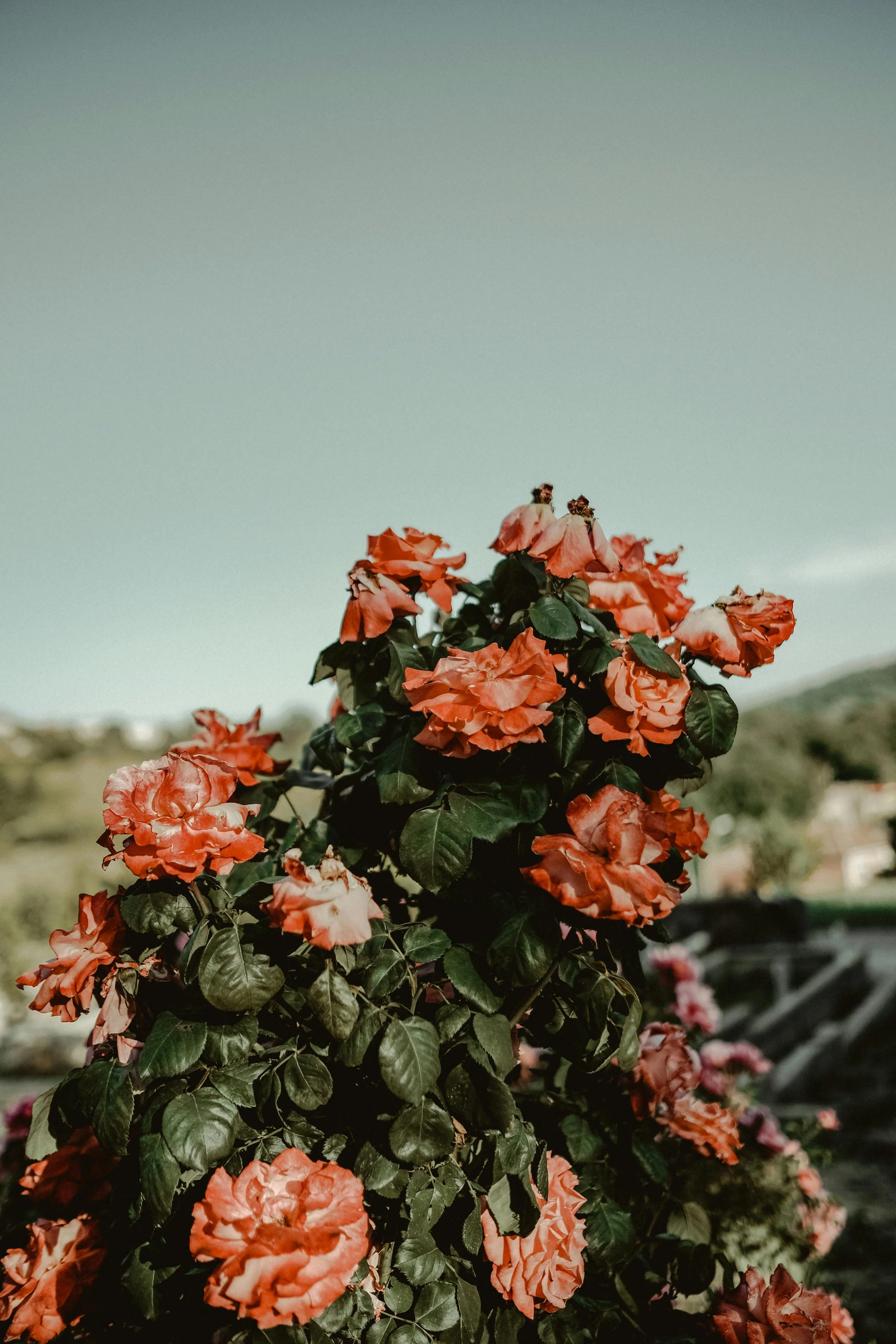 Moving Into Boundless Love