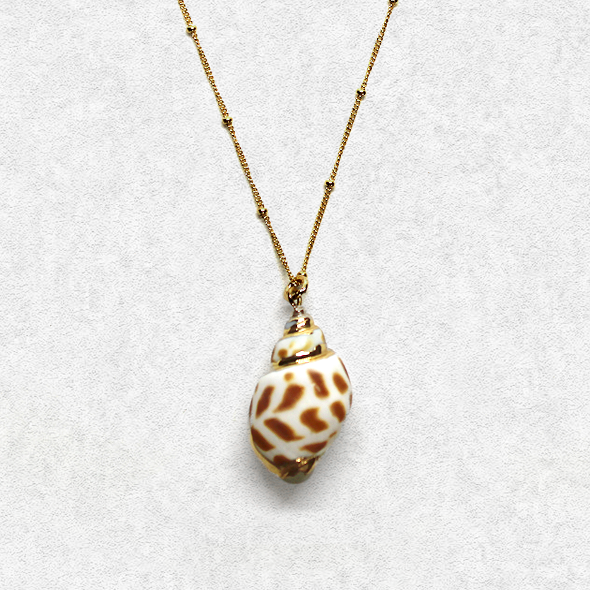 The Conch Shell Necklace.png
