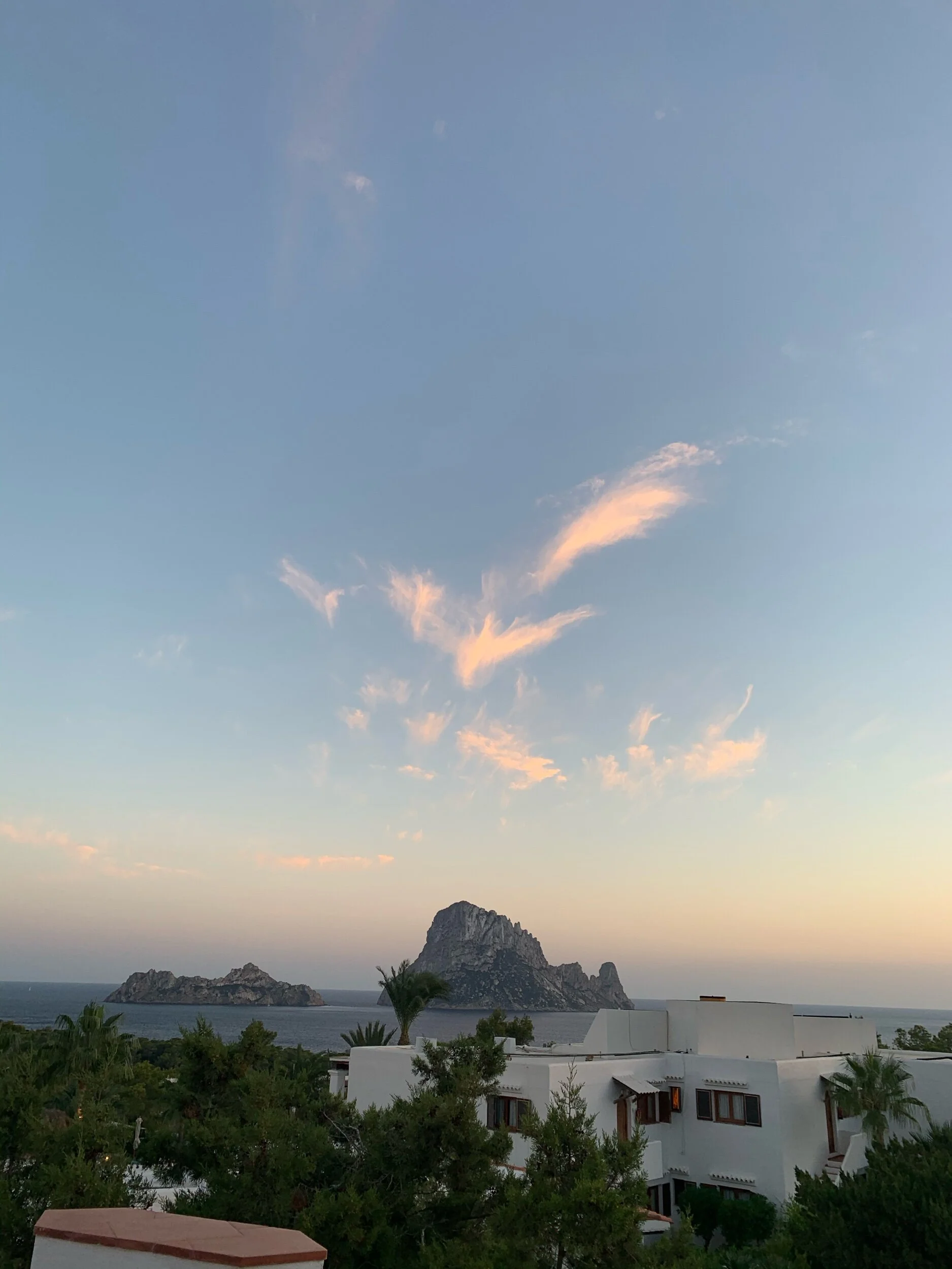 IMG_6380.jpeg