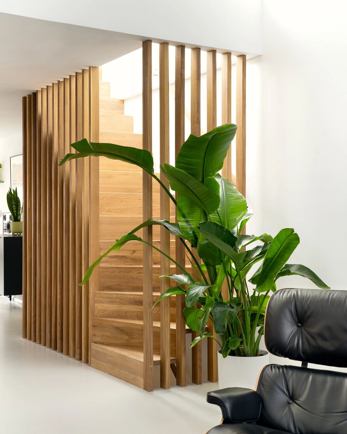 Dreamy wooden staircase creating a new connection between the living area and the roof terrace at our Borneo project!
Letting the light pour in while still standing strong as a sculptural element in the space.
And that Eames chair in the corner just 