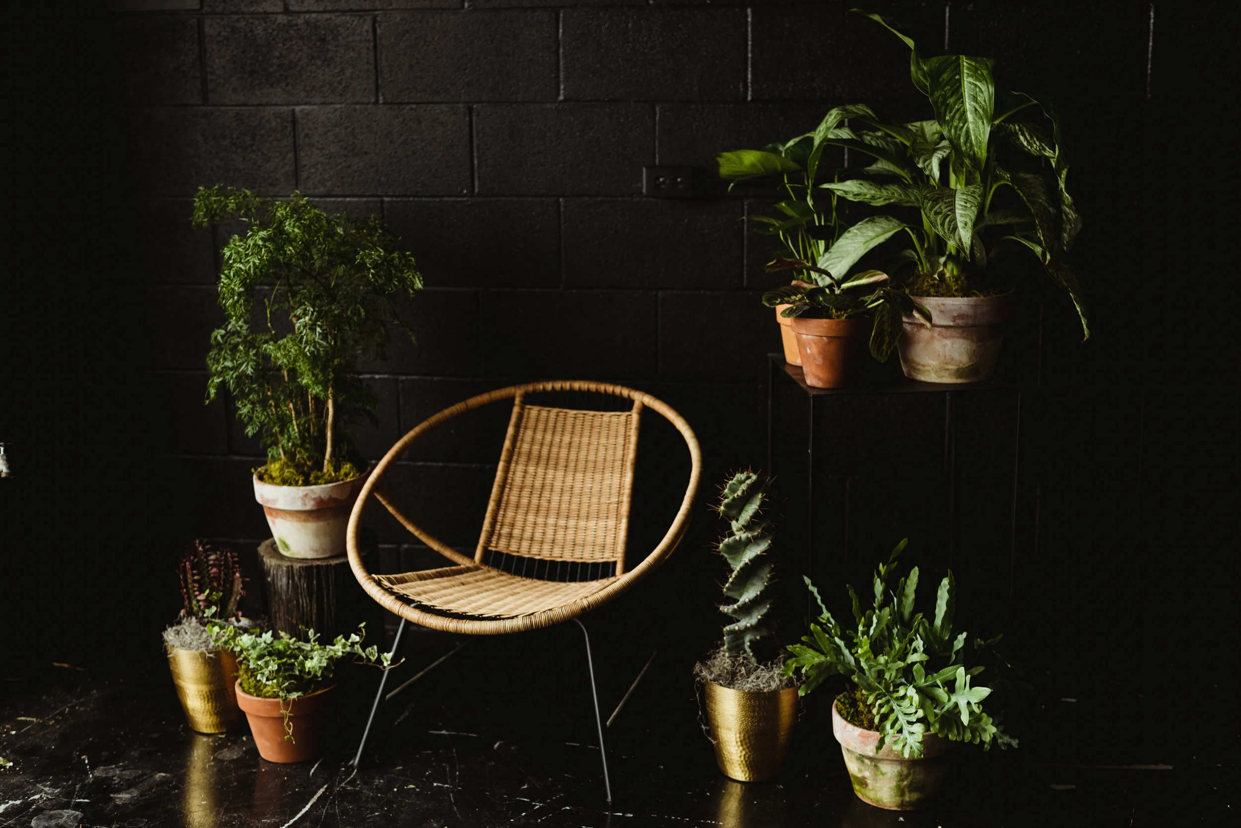 plantstyling_wareouse-86.jpg