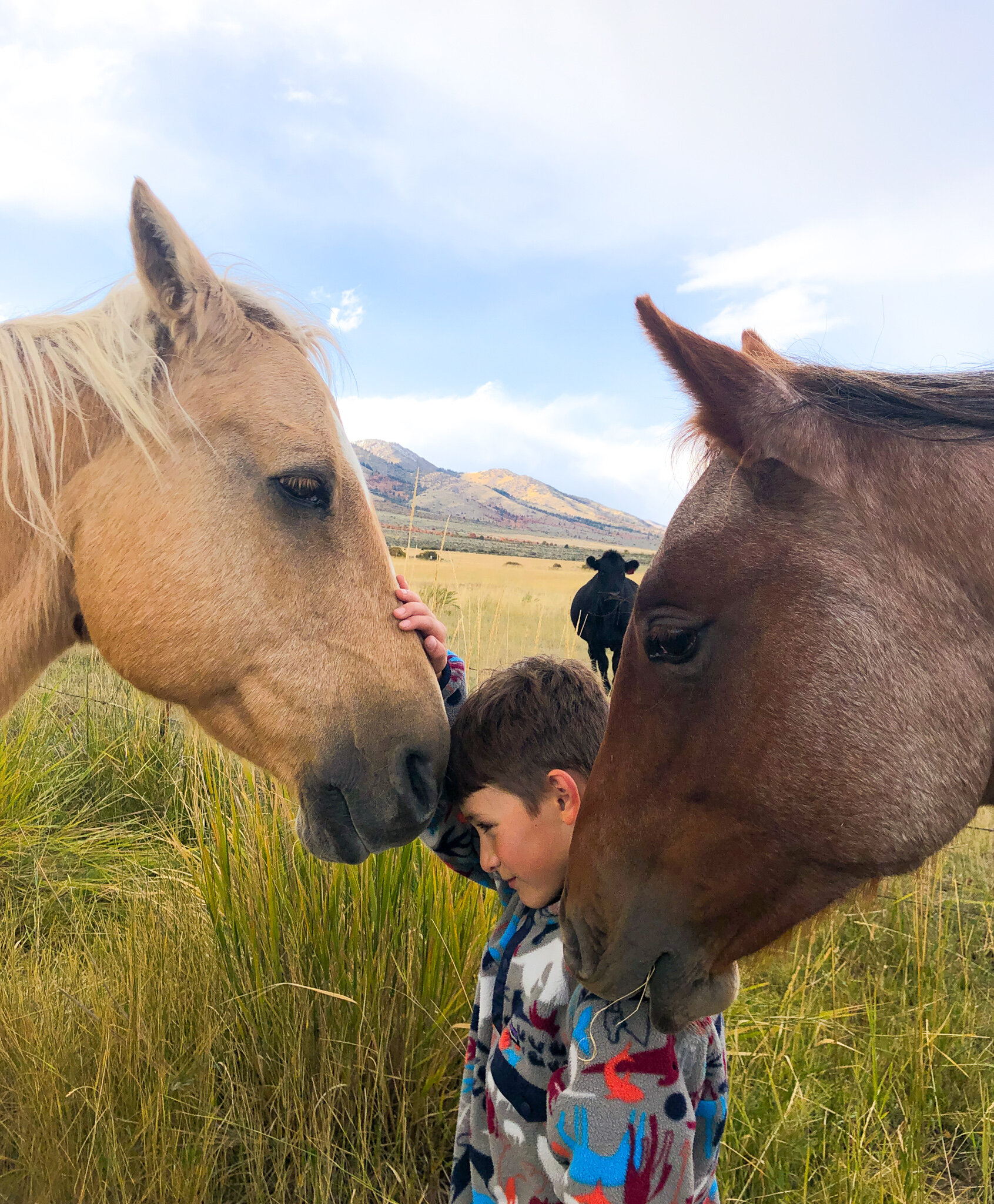 Southeast Idaho Equine Horses child.jpg