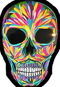 Sugar Skull Colorful digital web copy.jpg