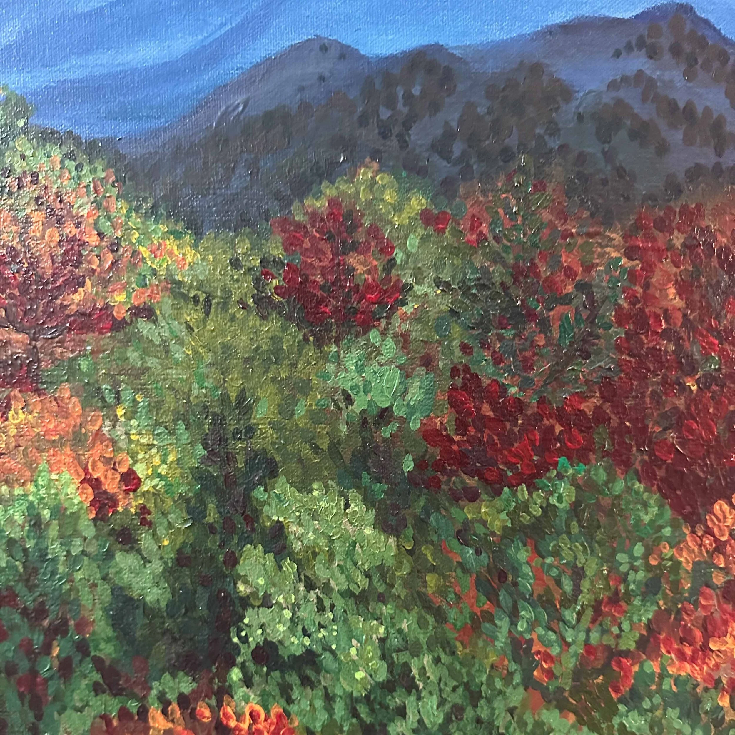 450FFCAD-D46A-4253-B5AC-1D6F1E79735B