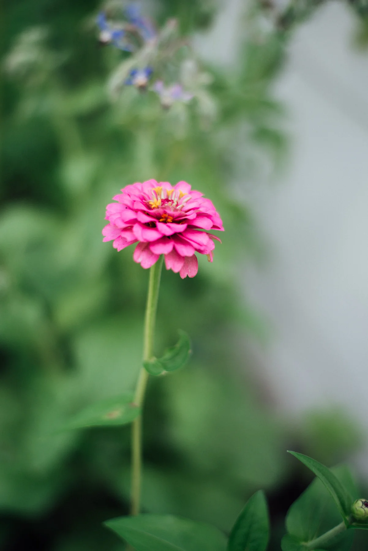 002_DSC5468.jpg