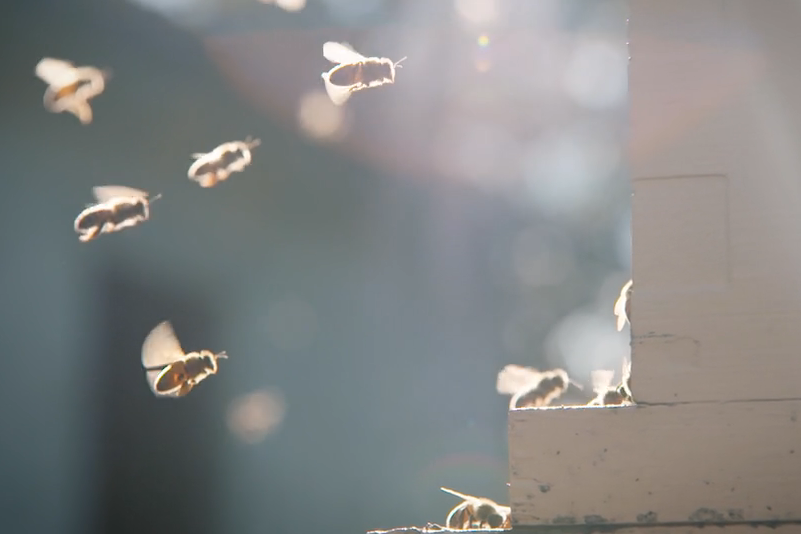 Screen Shot 2019-05-13 at 3.18.32 PM.png