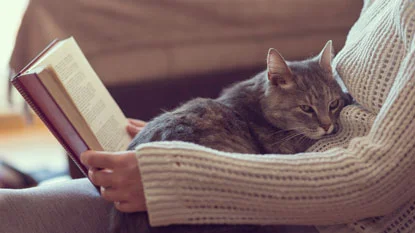 cat-with-book---istock---credit-vladans-415.jpg