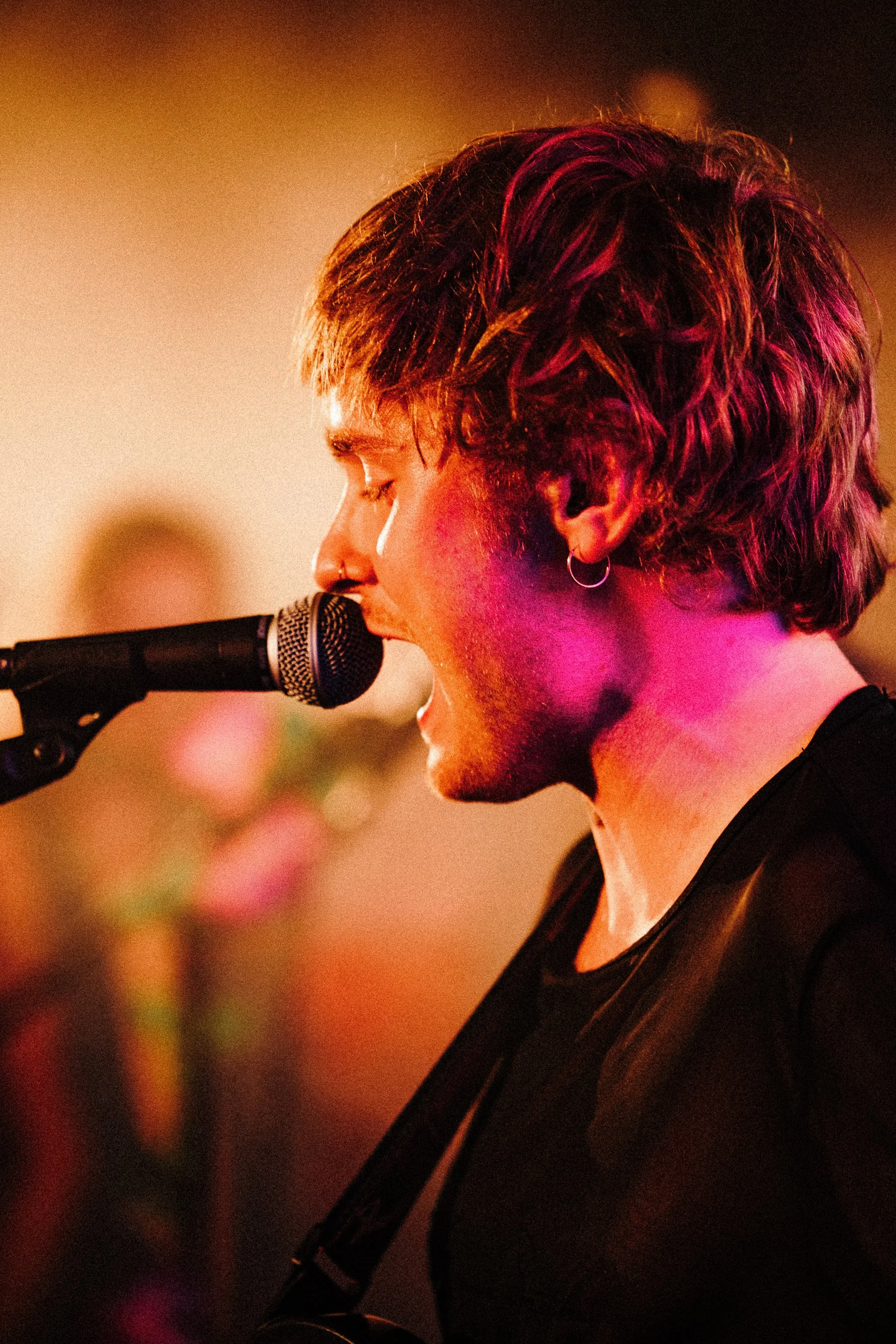 NGBG FESTIVAL - HUNDBEGRAVEN