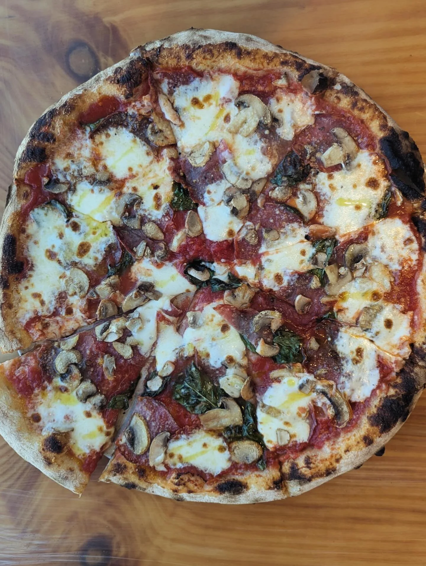 the fungus is among us🍄&zwj;🟫

try our new salami tommi apizza~ tuscan salamino, roasted fresh mushrooms, basil, fresh mozzarella, on red sauce topped with ages italian cheeses and our signature garlic oil. 

visit us @ 294 Main st. niantic
order🍄