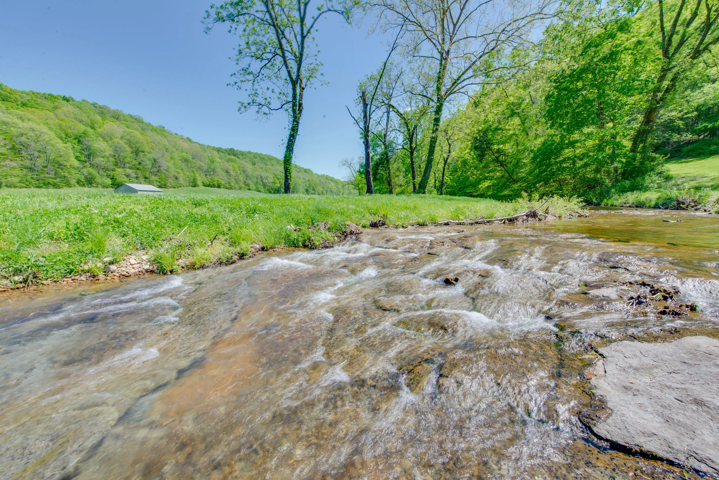 More than seven creeks and streams pass through this property
