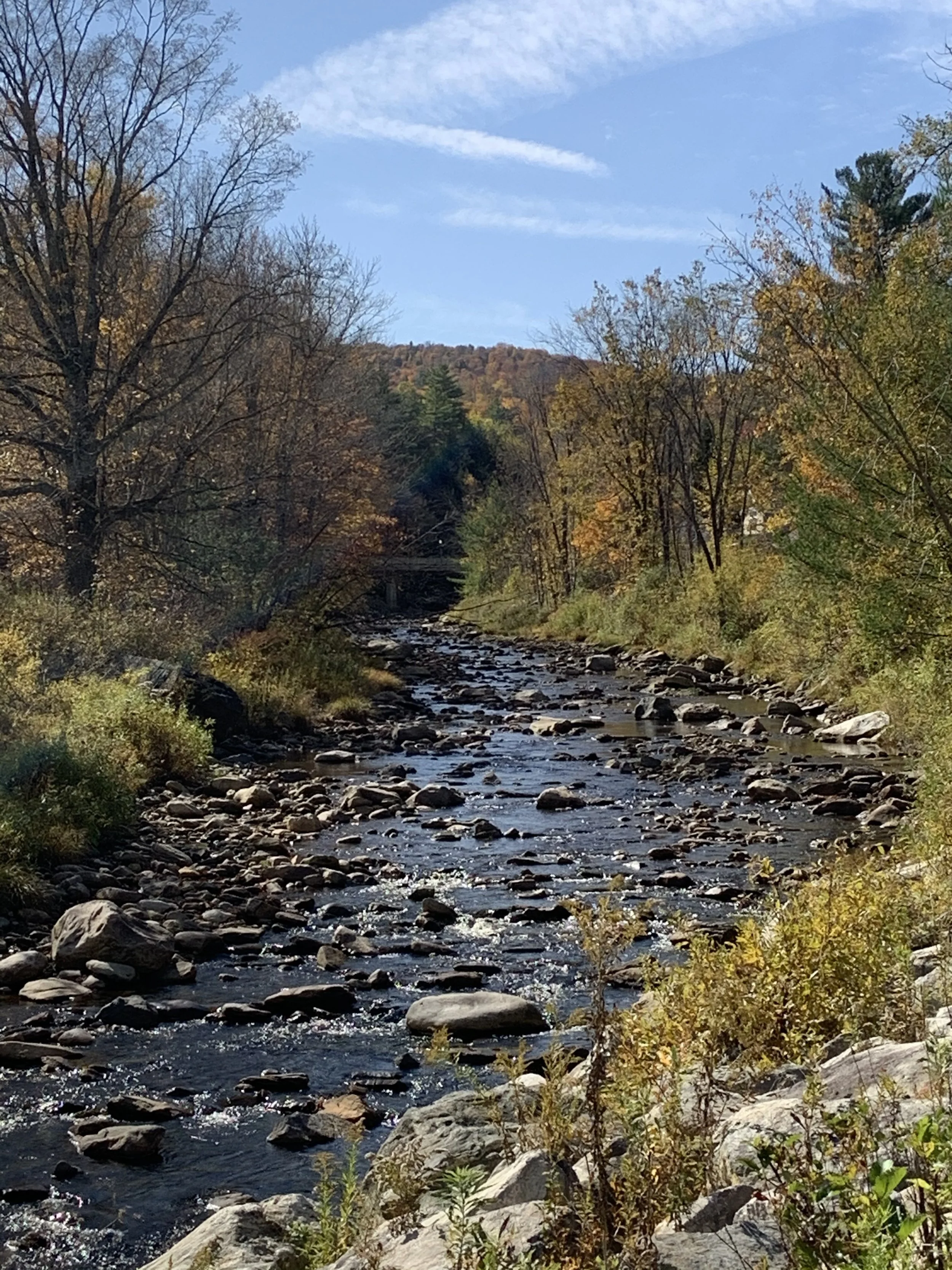 Southern Vermont Road Trip