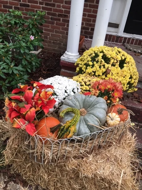 Colorful Autumn Outdoor Displays