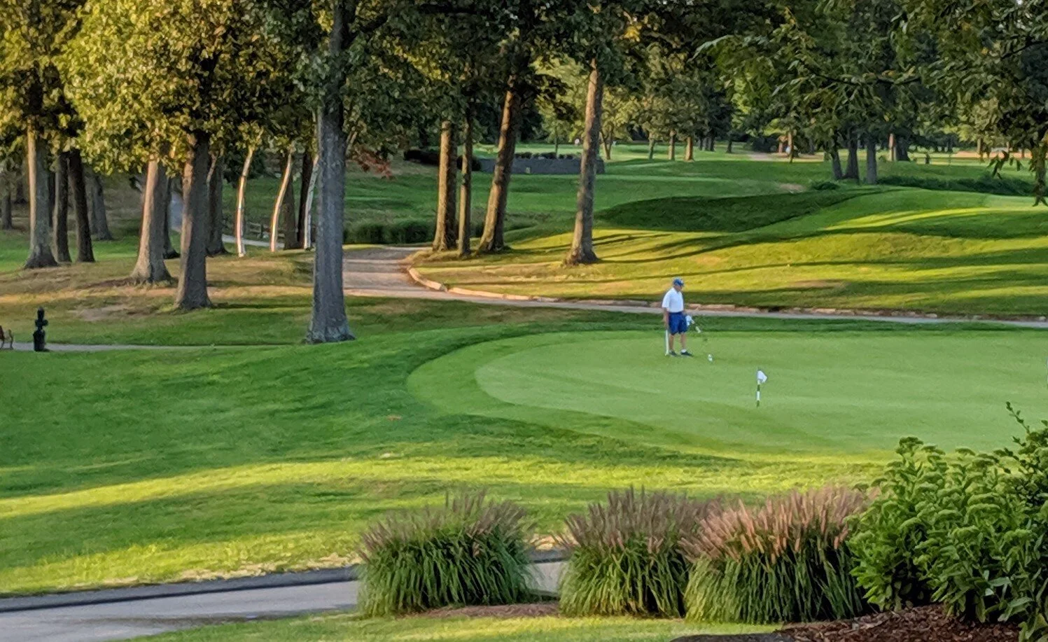 Father's Day Gift Ideas Under $50