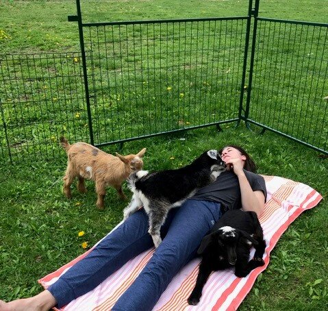 Relaxing with goats_Menu4living.com.jpg