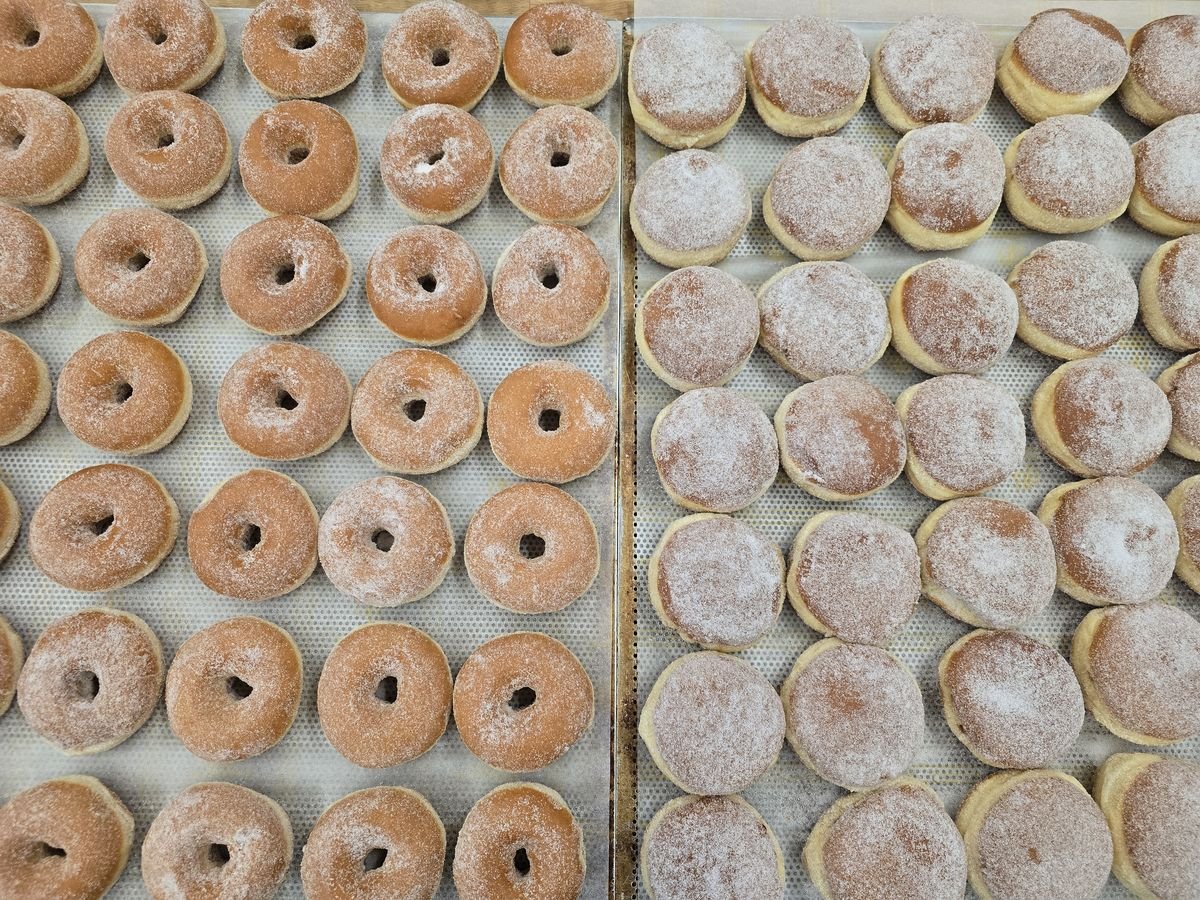 Two trays of fried pastry side by side – cinnamon-sugar coated American donuts with holes on the left, powdered-sugar German Berliner without holes on the right.