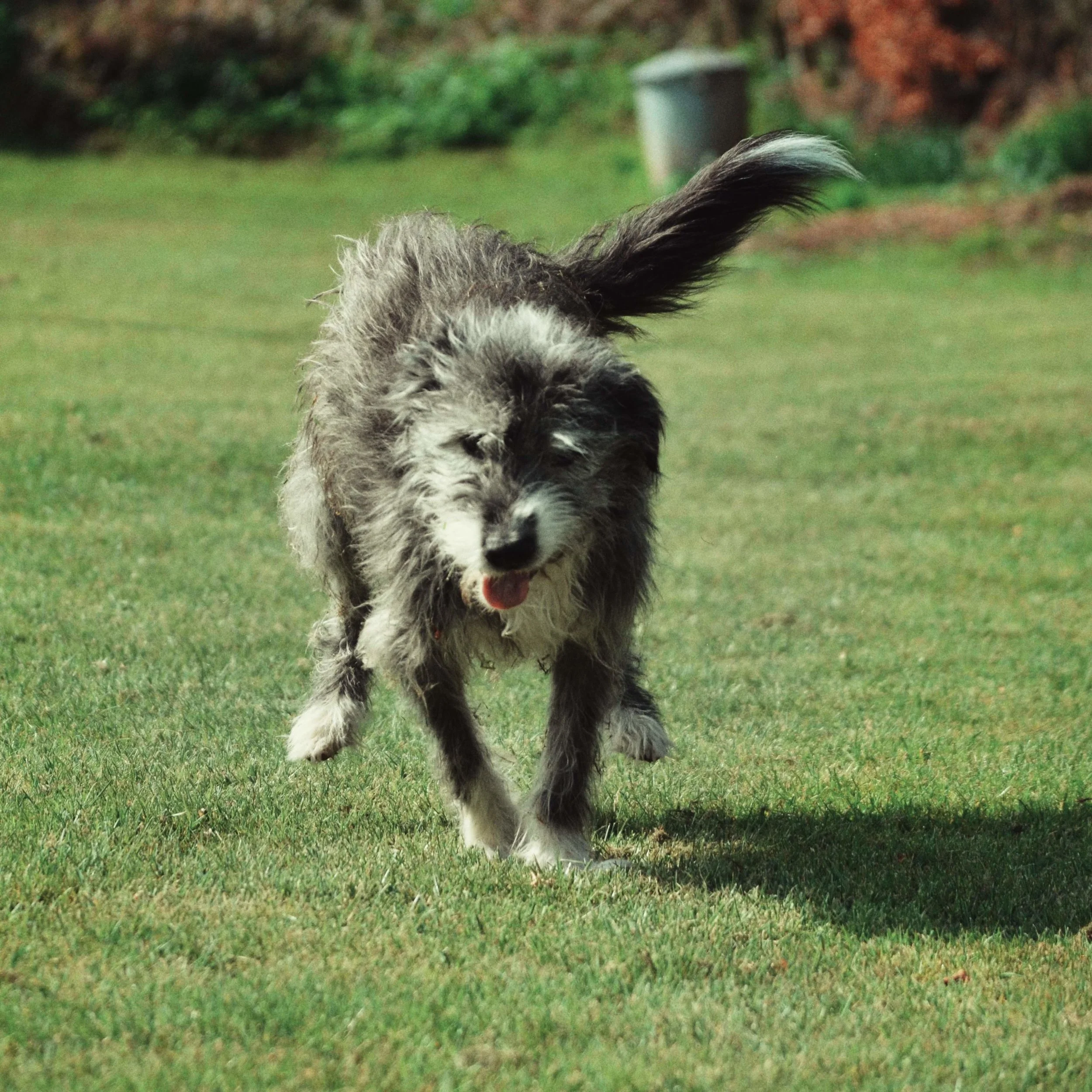 DSC_0201-02.jpeg