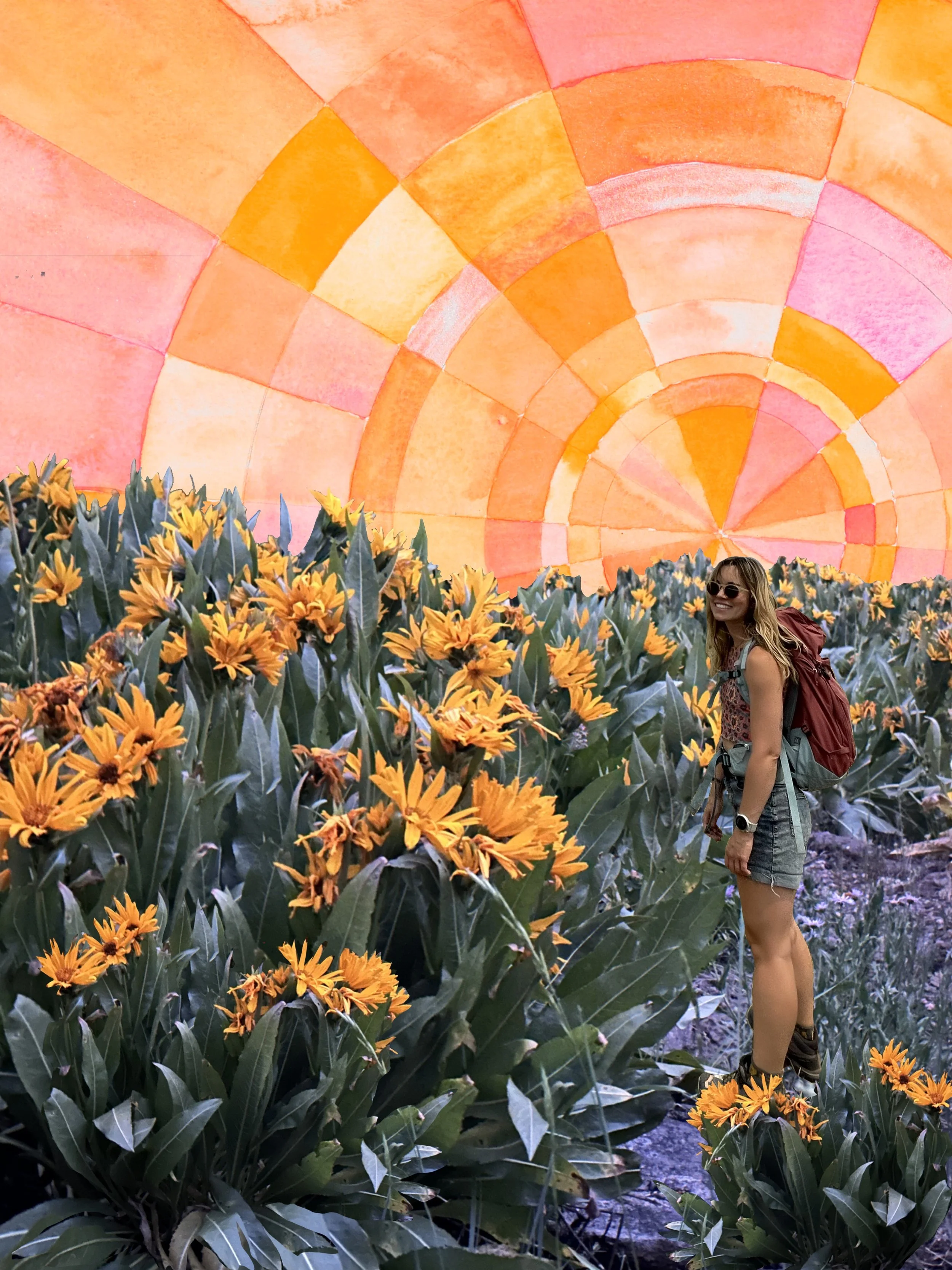 Daisy Fields