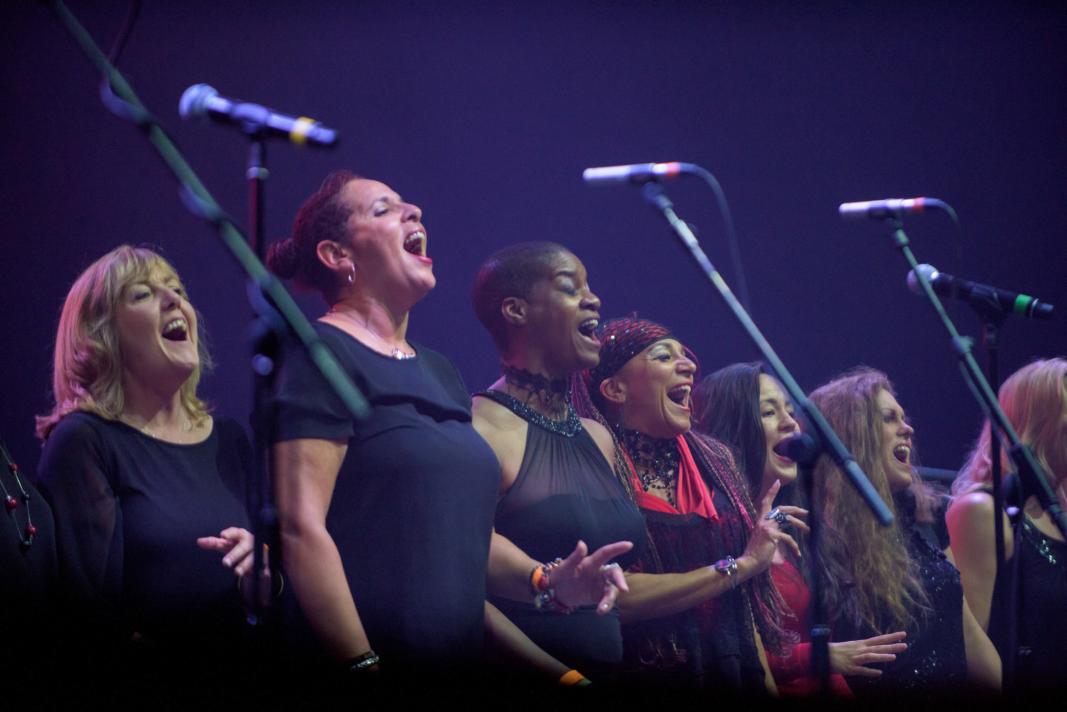DSC_2645 by Mark McNulty.jpg