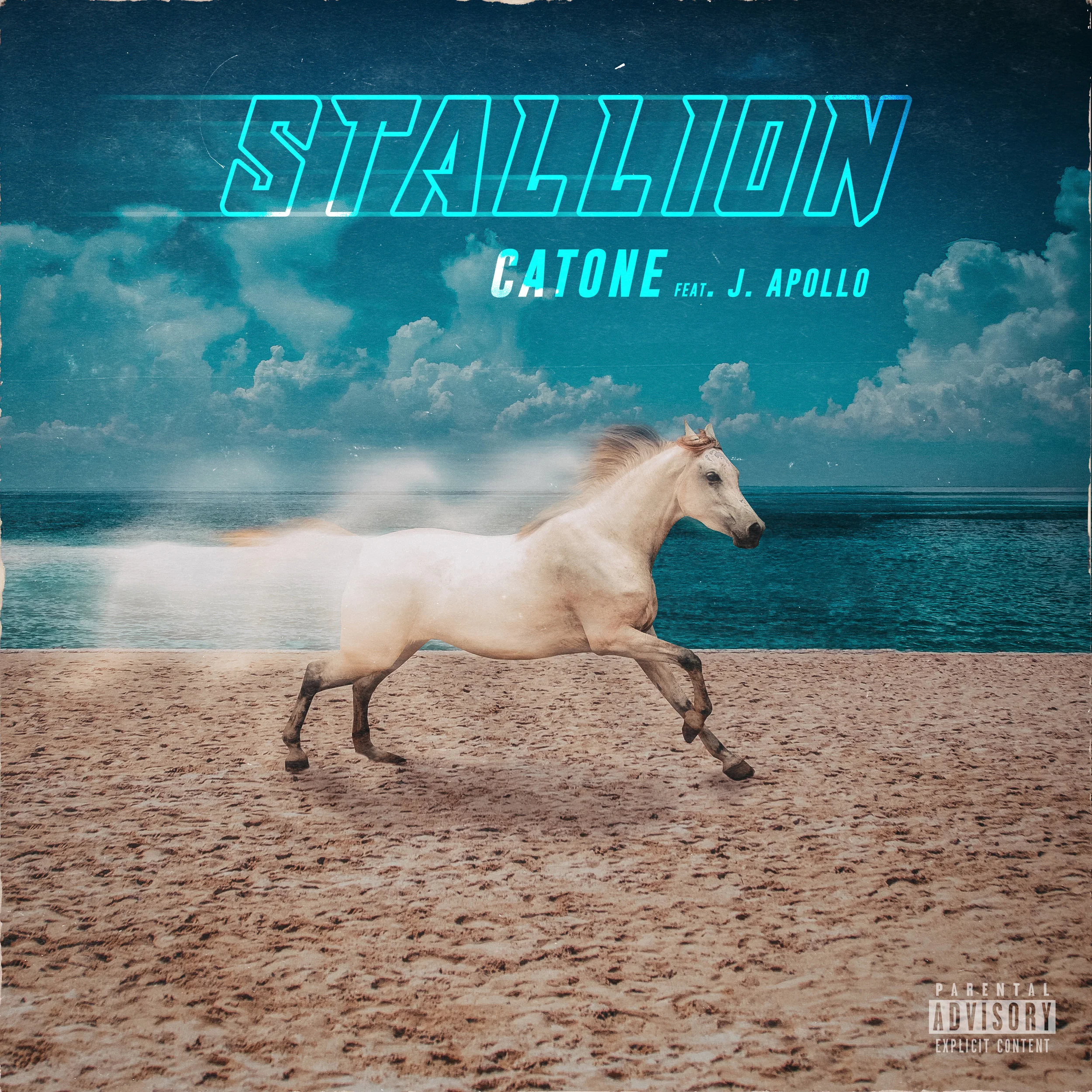 Catone- Stallion