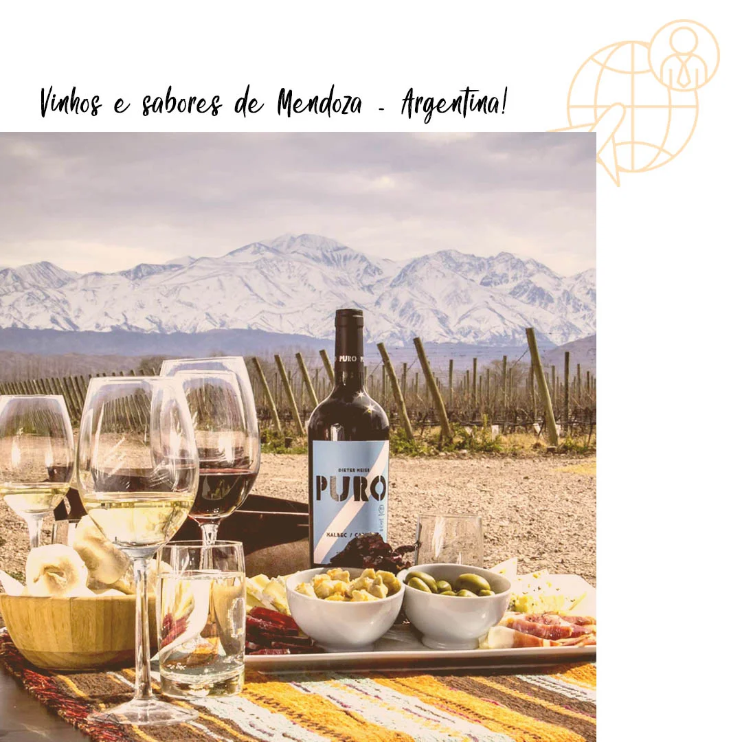 Vinhos de mendoza.jpg