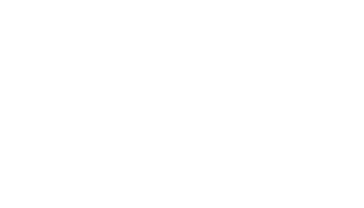 overlay-graphic.png