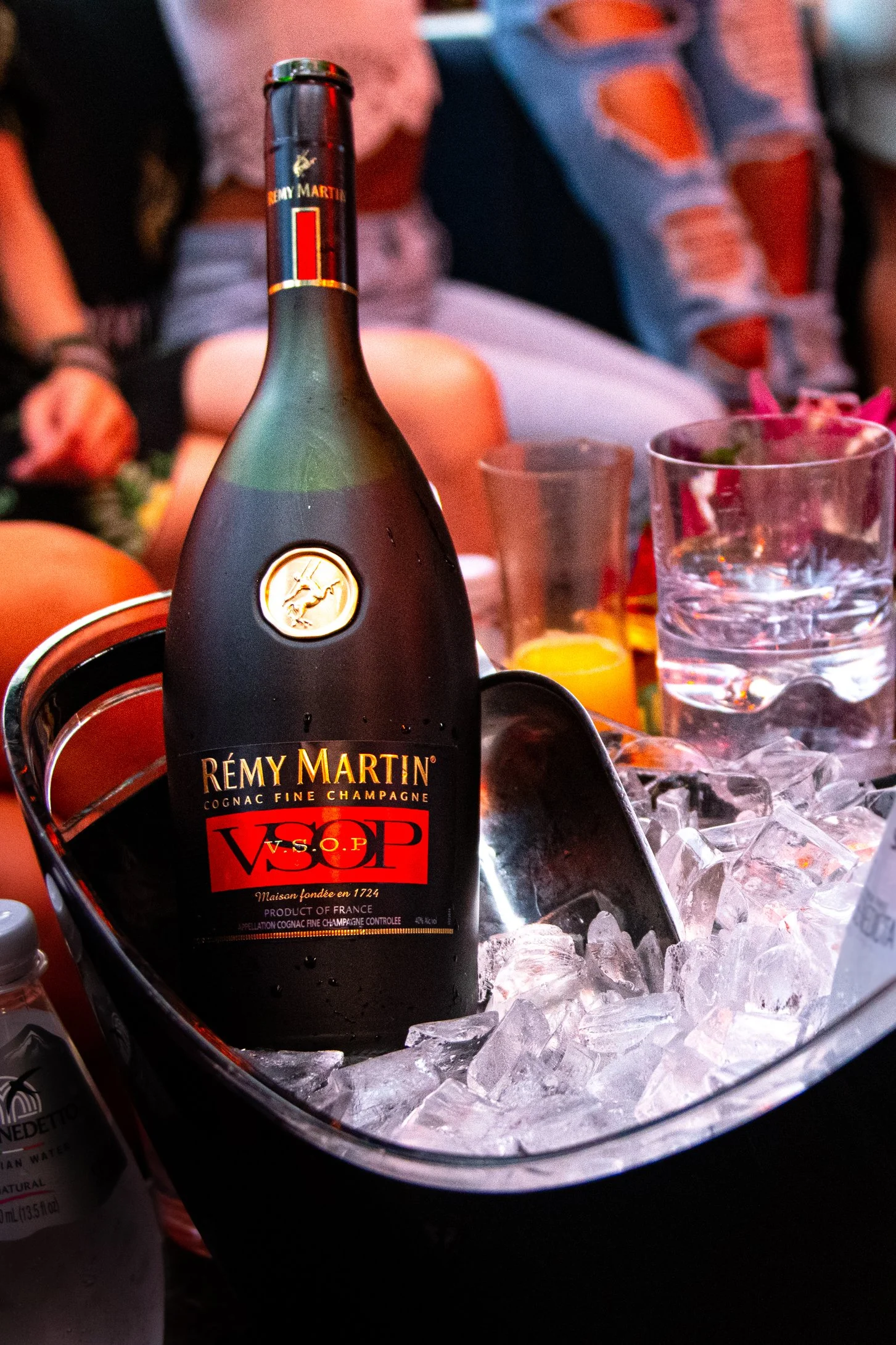 Remy Martin (09-04-19)DSC_3616September.jpg