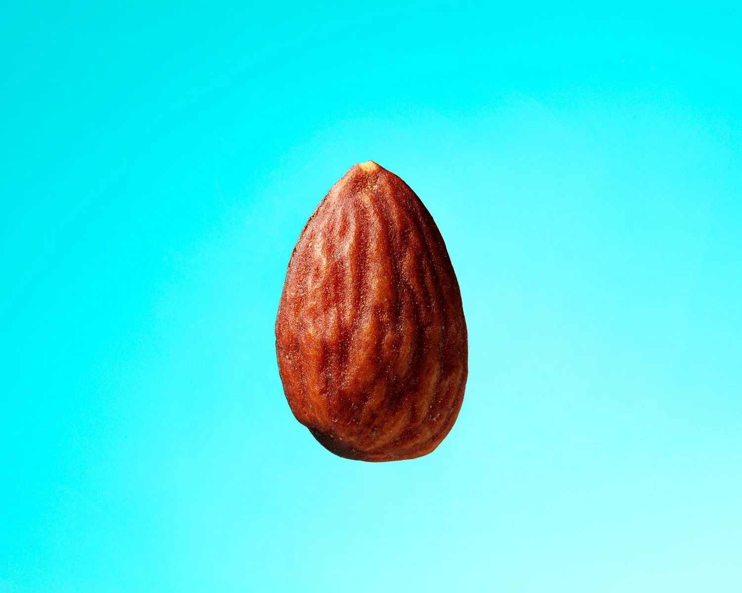 giovannig_images_Almond.jpg