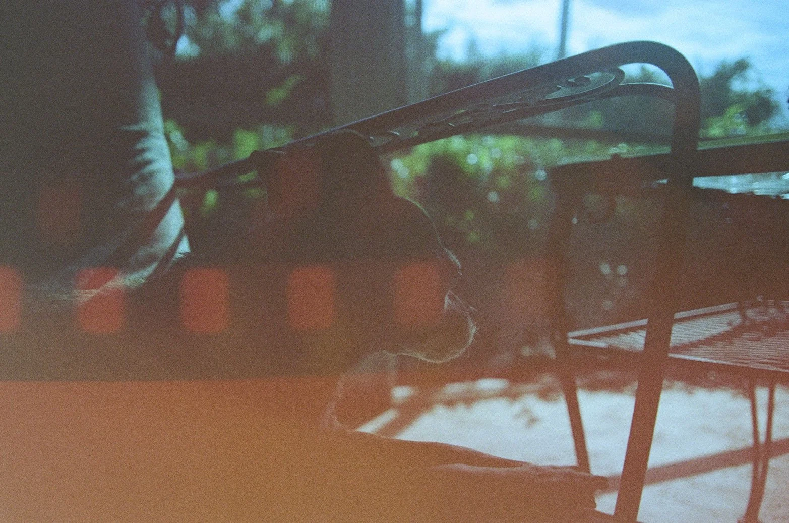 Portra 800-9.jpg