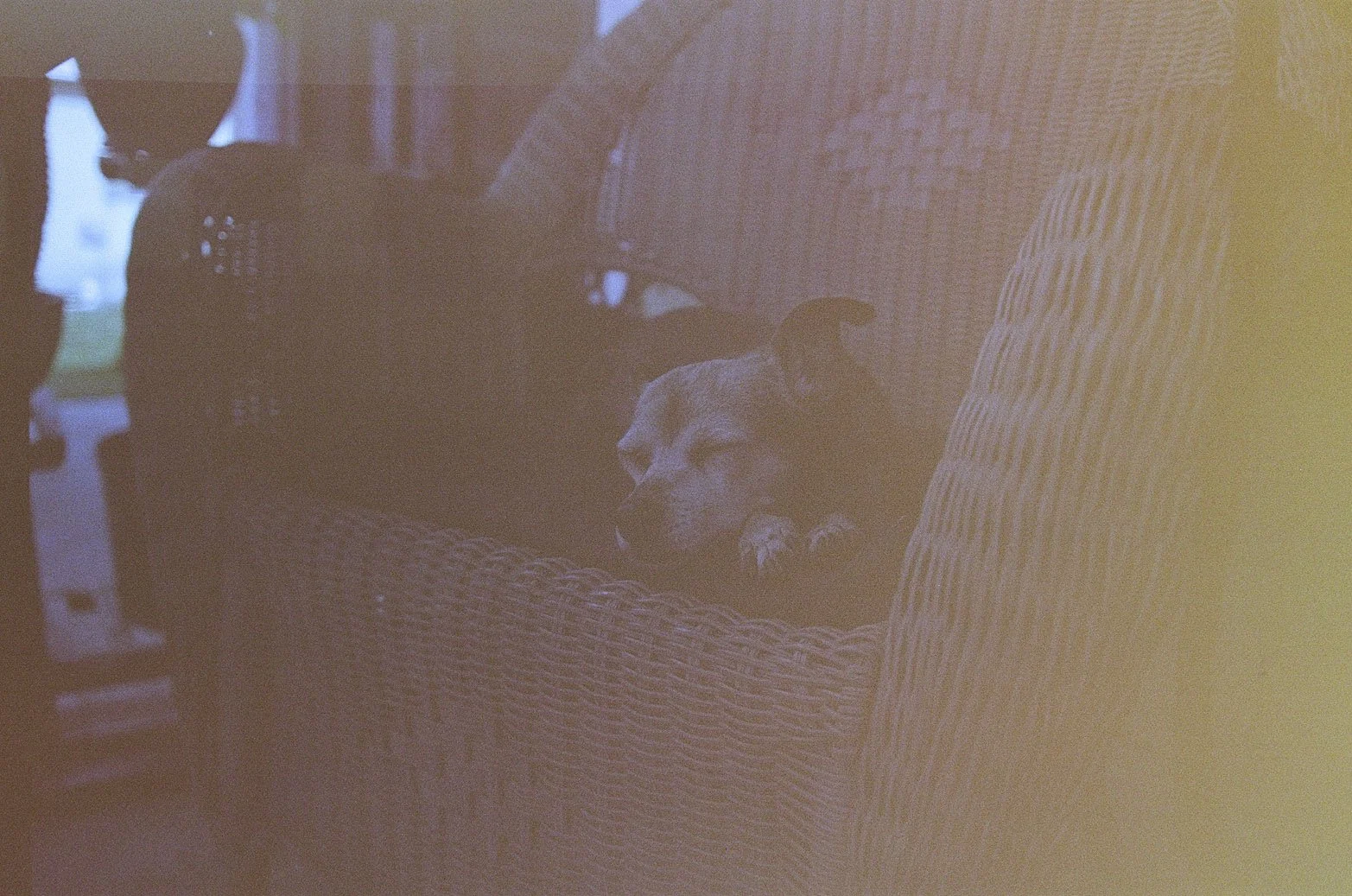 Portra 800-24.jpg