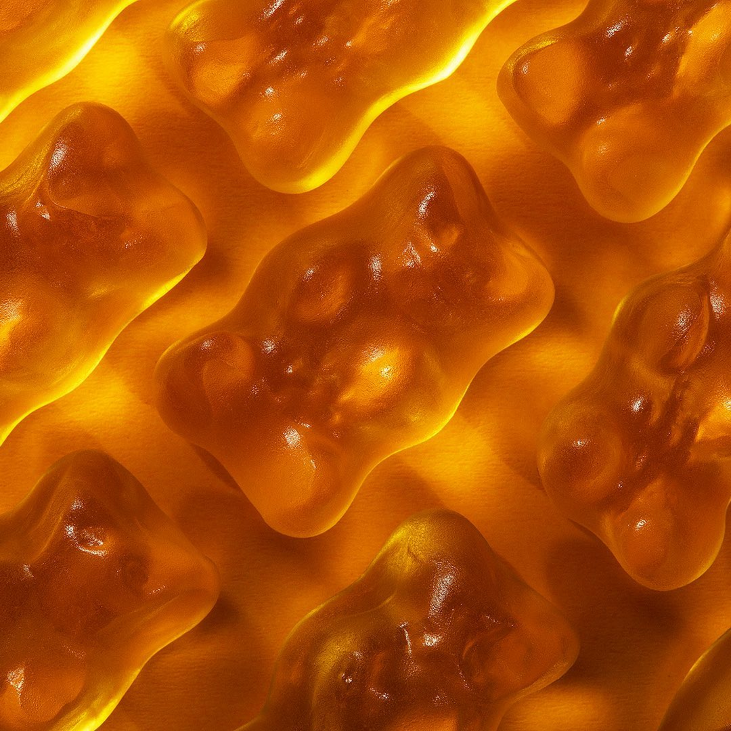 Close-up of several gummy bear candies, translucent orange in color.