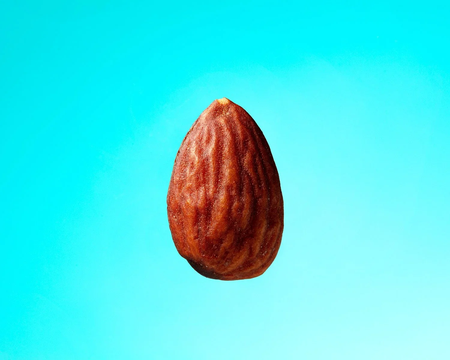 A single almond nut with a brown, textured shell against a blue background.