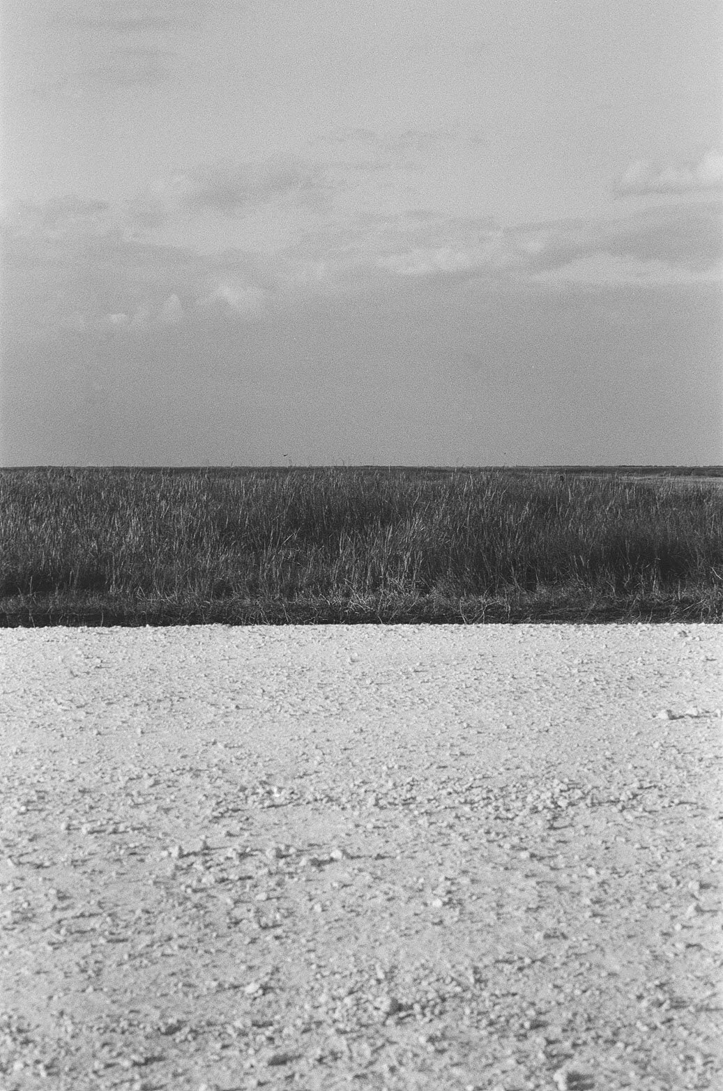 FP4-20.jpg