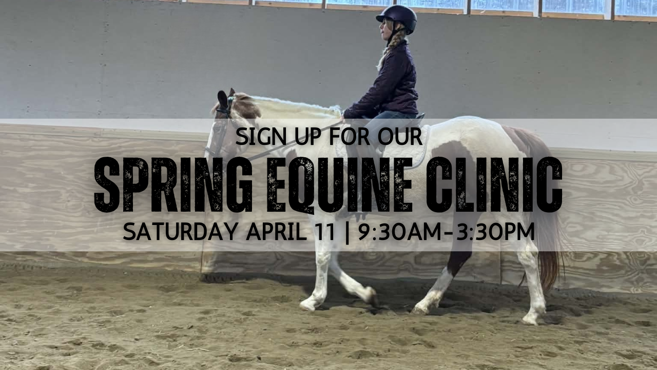 2026 Spring Equine Event Image (3).png