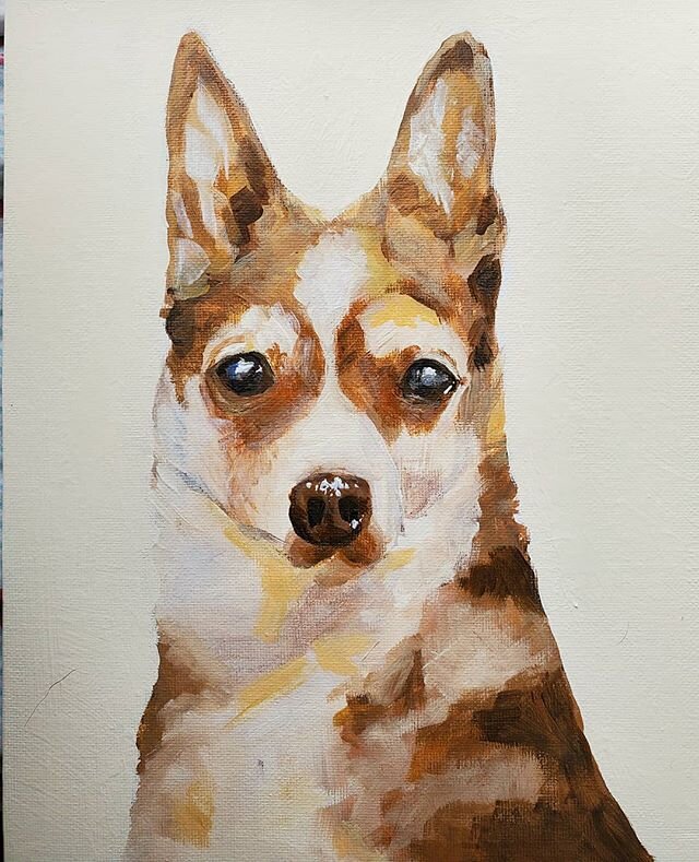 Spencer, 8x10 acrylic on canvas.