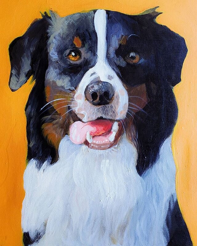 &quot;Baymax&quot; acrylic on canvas.
DM to start your order today 🐶
#petportraitartist #petportrait #australianshepherd #aussie #australianshepherdsofinstagram