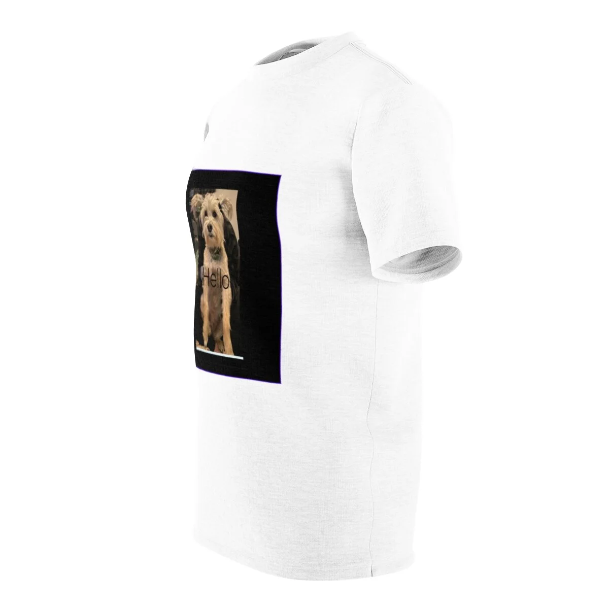 3bc9db9acc07a1535bf84180332bd989