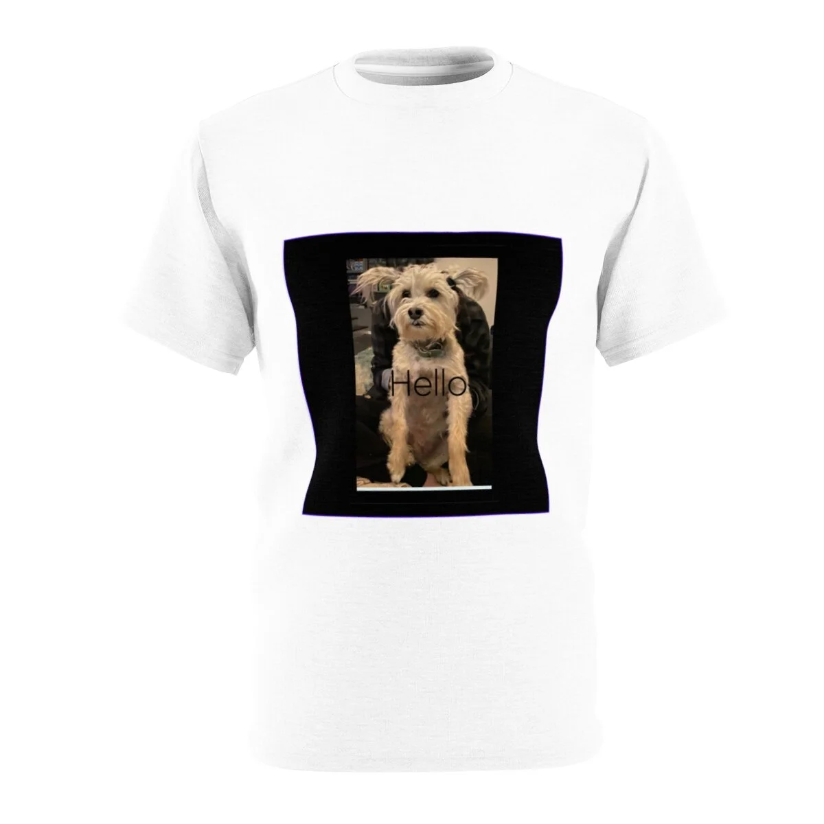 2a7ee771ac6d6881b2bc66e49a3d9537