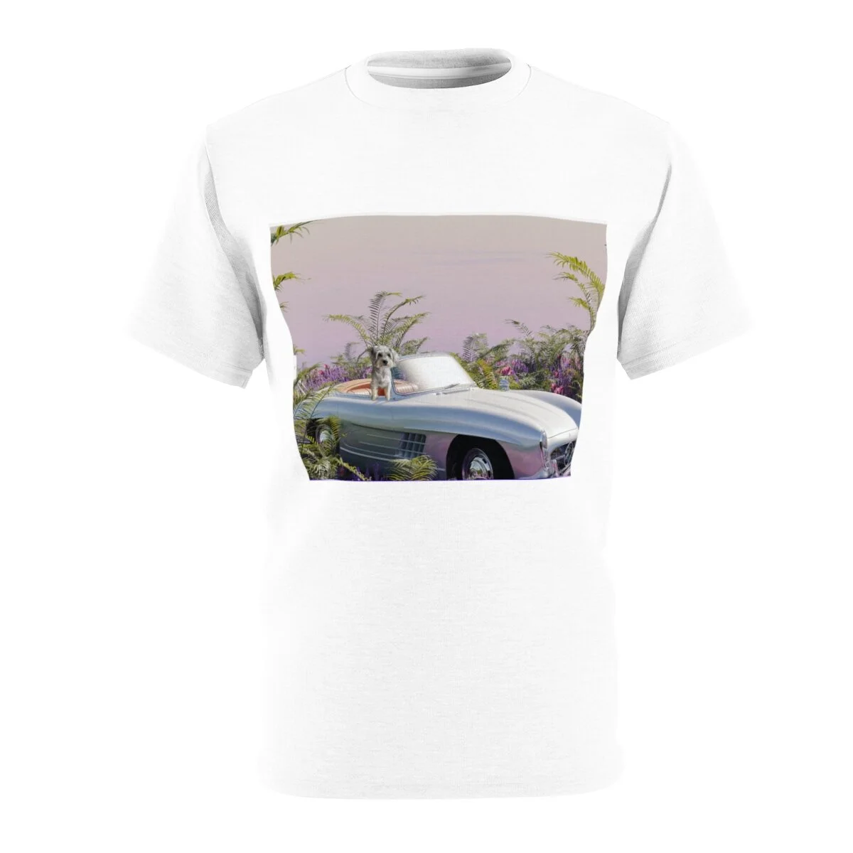 1e8f308738e894b474afab668644a30b