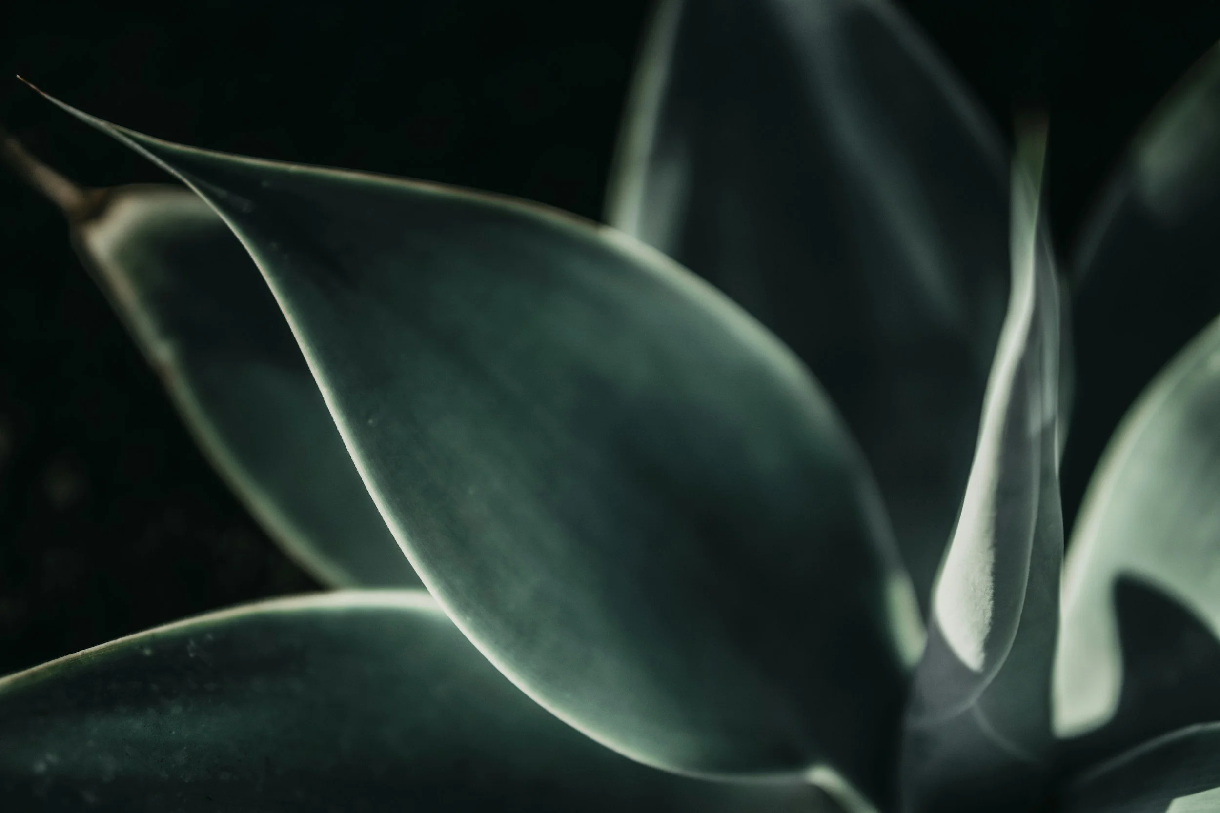 unsplash-image-As9XFaC7VKk.jpg