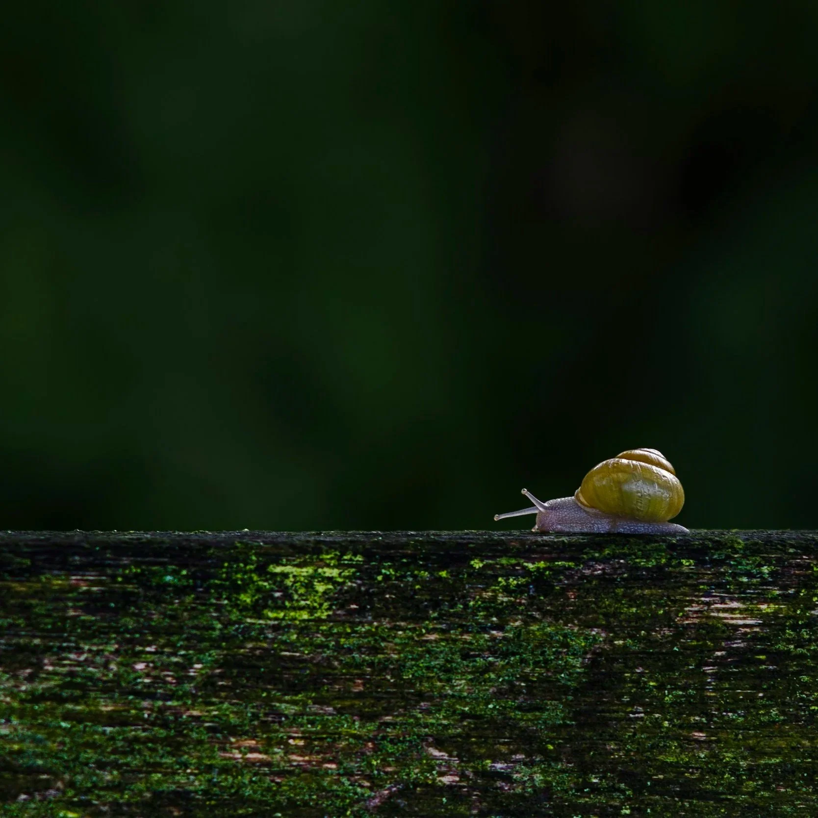 Why You Should Learn to Slow Down (Without Feeling Guilty)