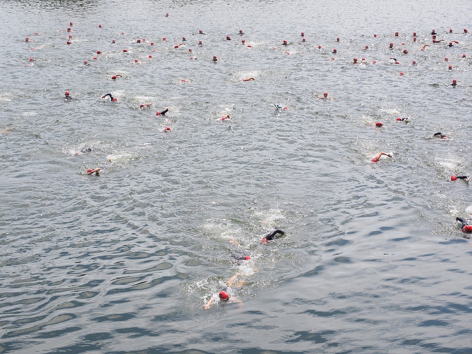 swim-2147894_960_720.jpg