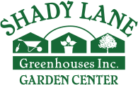 Shady Lane.png