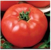 tomato-big-boy.jpg