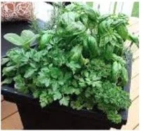 herb-planter.jpg